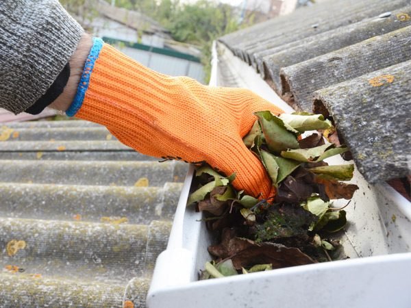 Professional Gutter Cleaning in Salem, OR